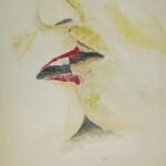 Oral Indulgence: The How-To Guide for Mind-Blowing Cunnilingus