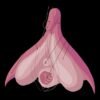 The Clitoris: Unveiling the Mystery of Female Sexual Response