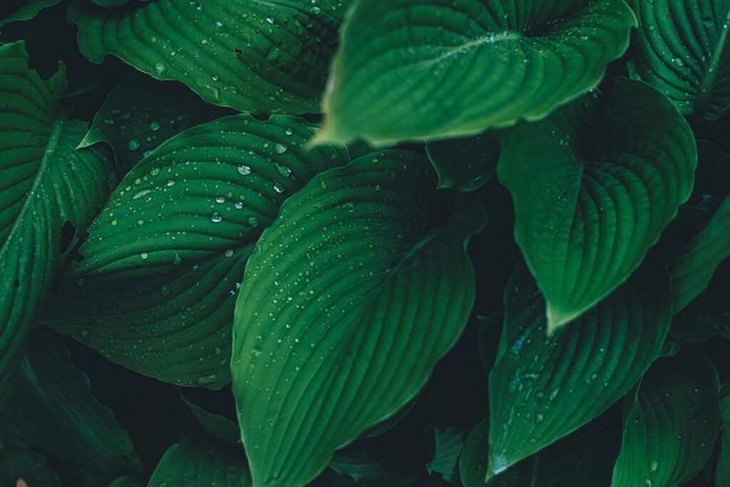 Sustainable Glamour: The Rise of Eco-Friendly Beauty Products